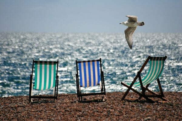 Chairs on beach with bird flying by.